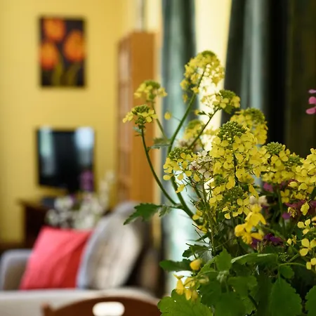 Casa Lilla アパート Acquasparta