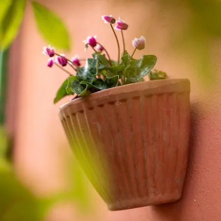 Casa Lilla Apartamento